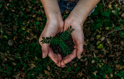 Sustainable Cosmetic Packaging: A Complete Guide for Brands